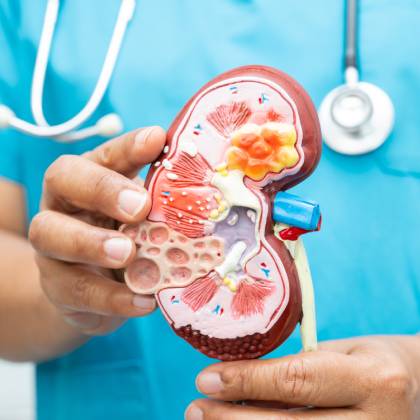 experiencia de nefrologia en ciudad satelite