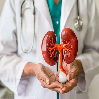 medico nefrologo en cdmx