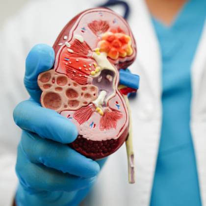 nefrologo doctor en cdmx