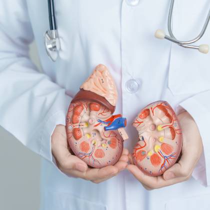 telefono de nefrologo en cdmx